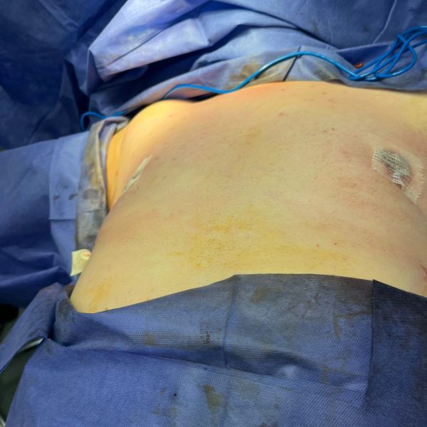 IMG-20250108-WA0047 (1)